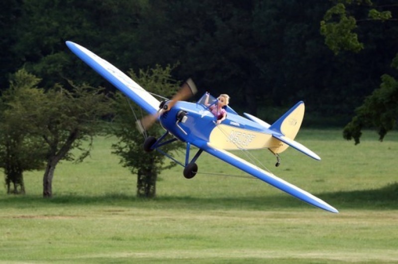 Bowers Fly Baby 1:2