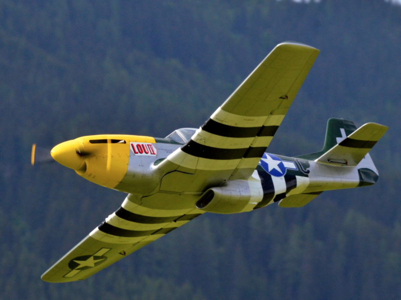 P-51 Mustang 1:4.3