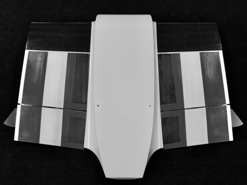 Super Chipmunk (35%) Center Wing