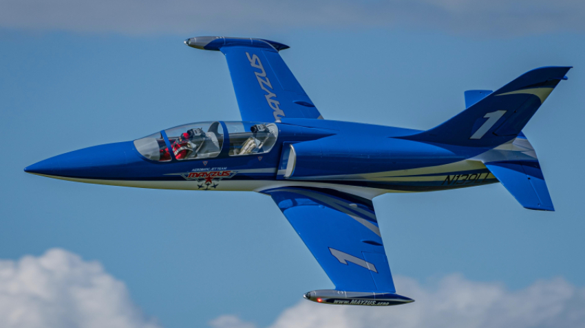 L-39 Albatros 1:4