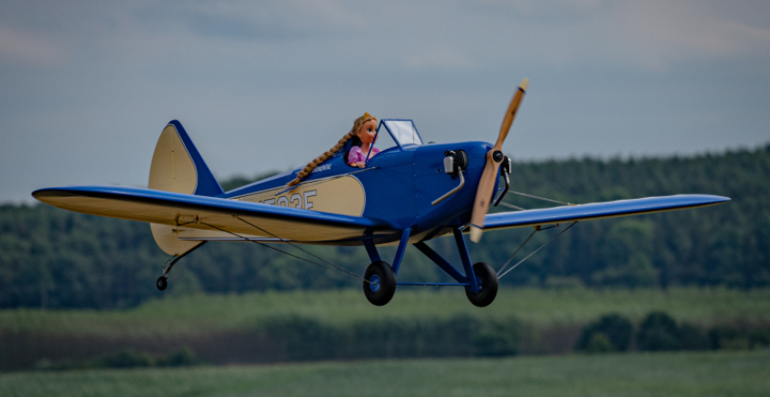 Bowers Fly Baby 1:2