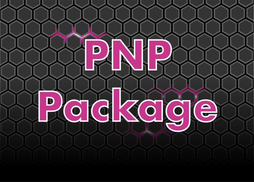 P-51 Mustang Reno PNP Package
